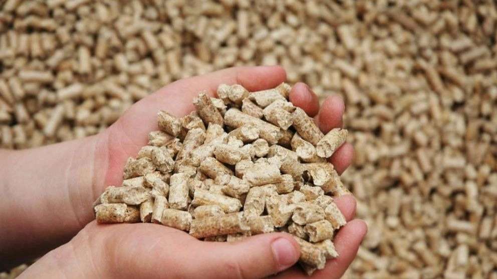 Food production for Danso tropical fish