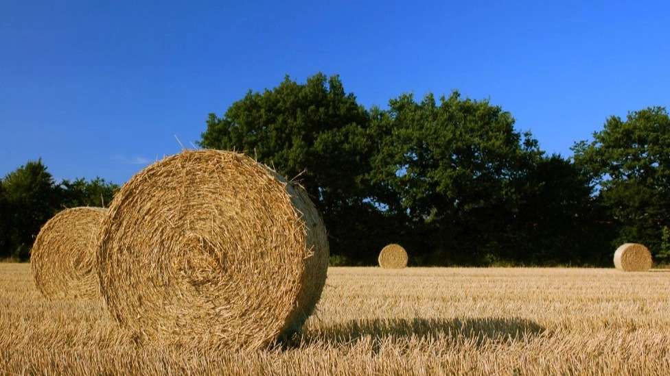 Ghasemi agricultural and industrial tools