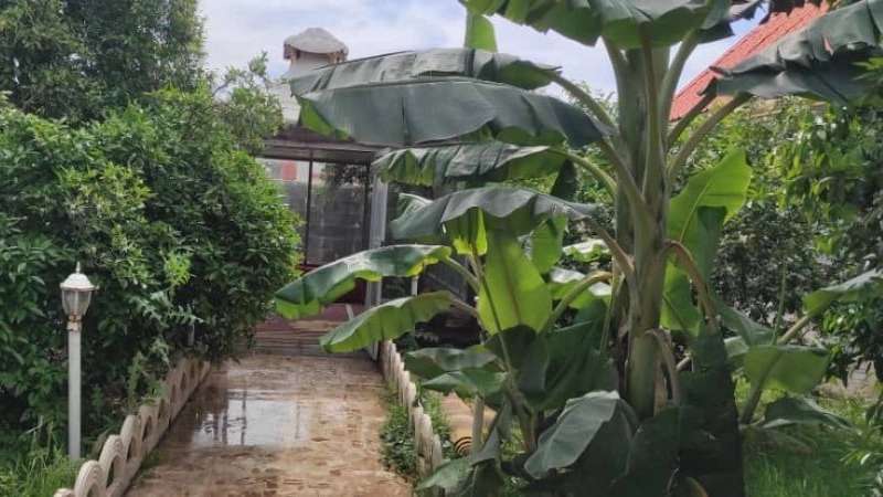 Modern garden villa for rent led