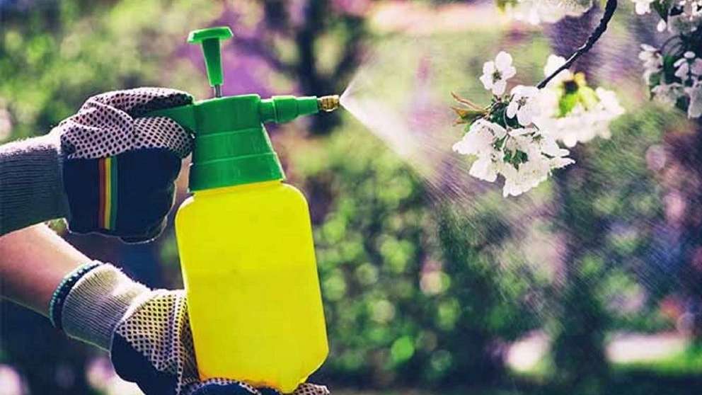 Dasht Sabz Bagai tarım mağazası