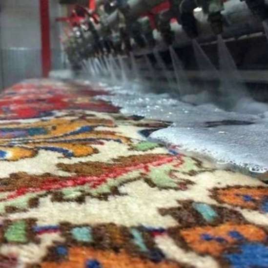 کارخانه قالیشویی شادی