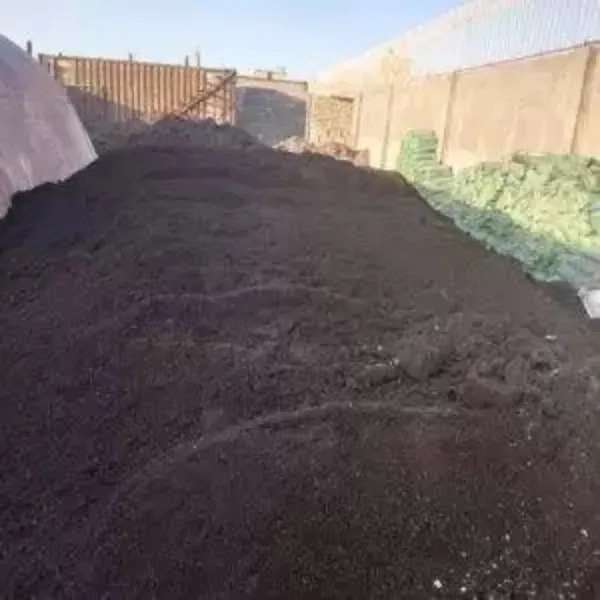 خاک گلدانی سلطانی