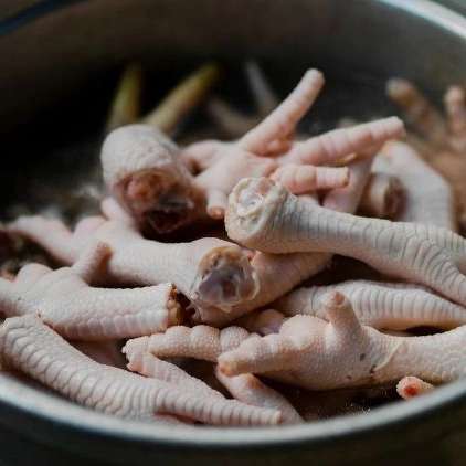 پای مرغ حیدری