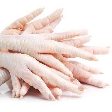پای مرغ حیدری