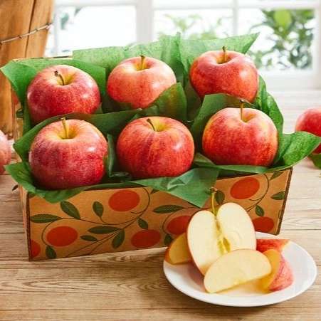 فروش و صادرات انواع سیب درختی محمدی