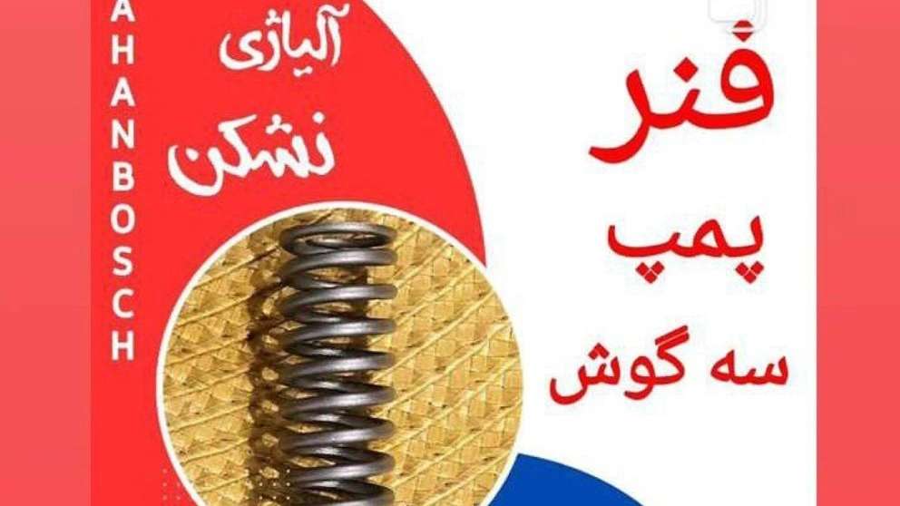 Triangle pump spring