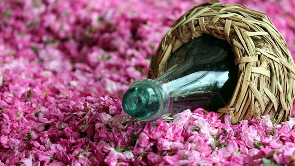 Traditional Nile rose