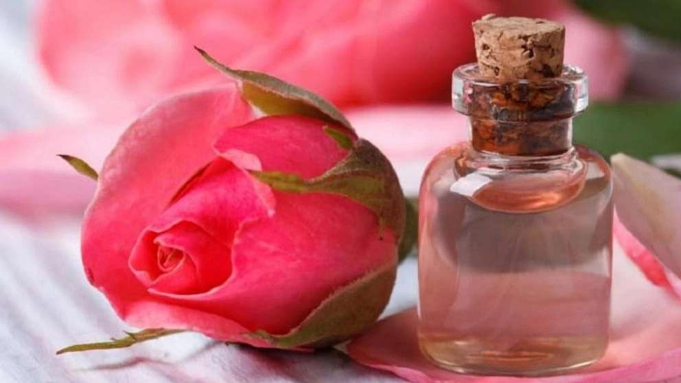 Traditional Nile rose