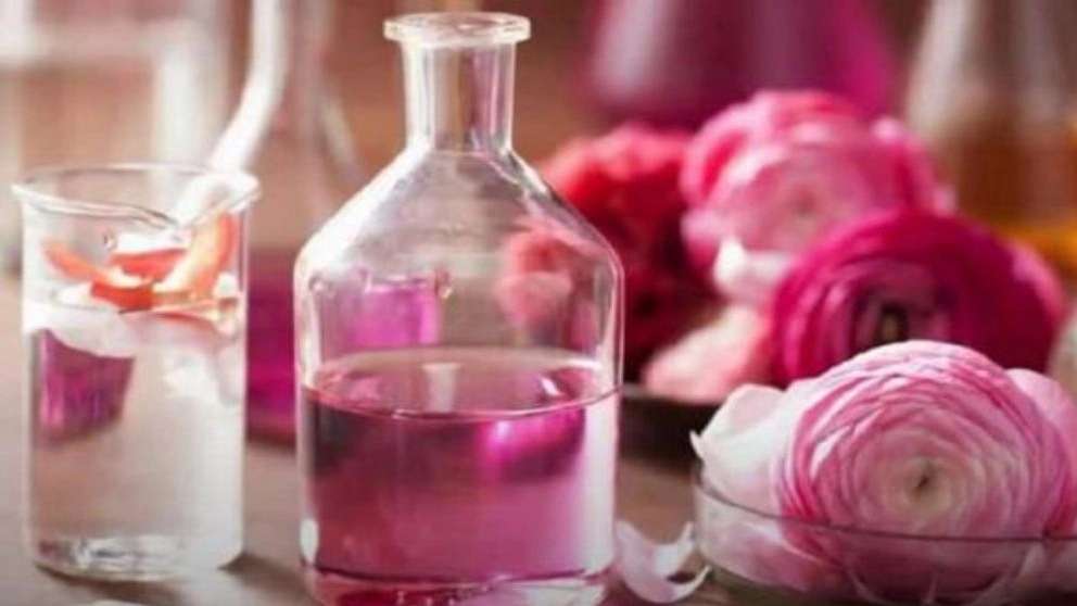Traditional Nile rose