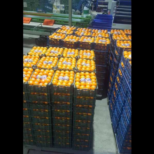 بازرگانی اسدالهی