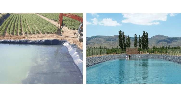 Moradi geomembranes