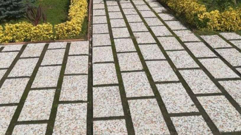 السياج والفسيفساء الخرسانية لخوداباندي لو