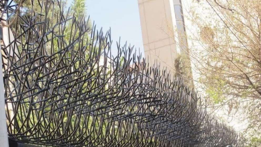 حماية قرن الوعل الغزلان باسارجاد