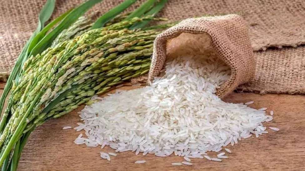 تجارة الأرز القنباري