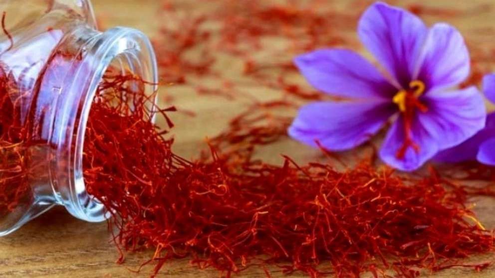 Export and sale of Ahmadi saffron