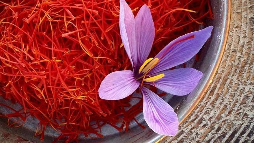 Export and sale of Ahmadi saffron