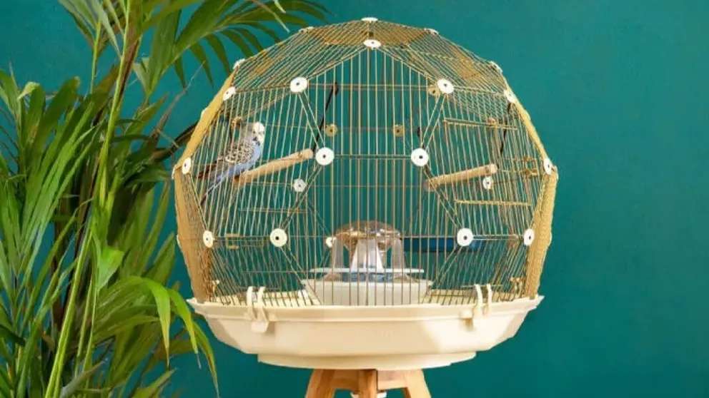 Kasri bird cages and birdhouses
