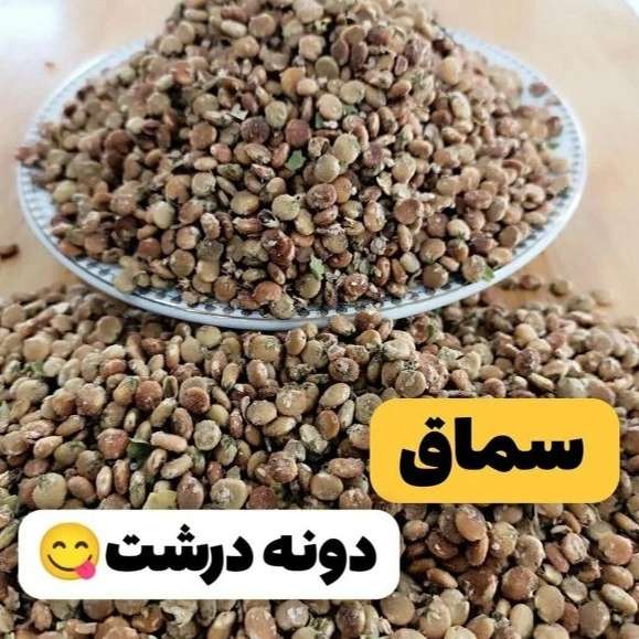 سماق گستر سردشت