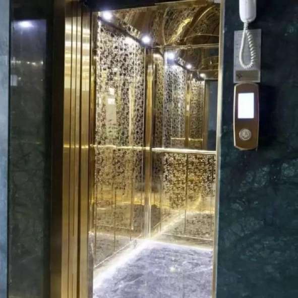 ویرا آسانبر امین