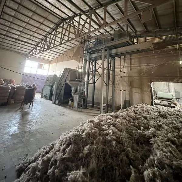 کاردینگ اروپایی