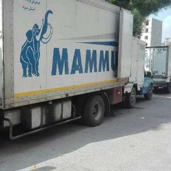 پروتئینی سرای تورتک