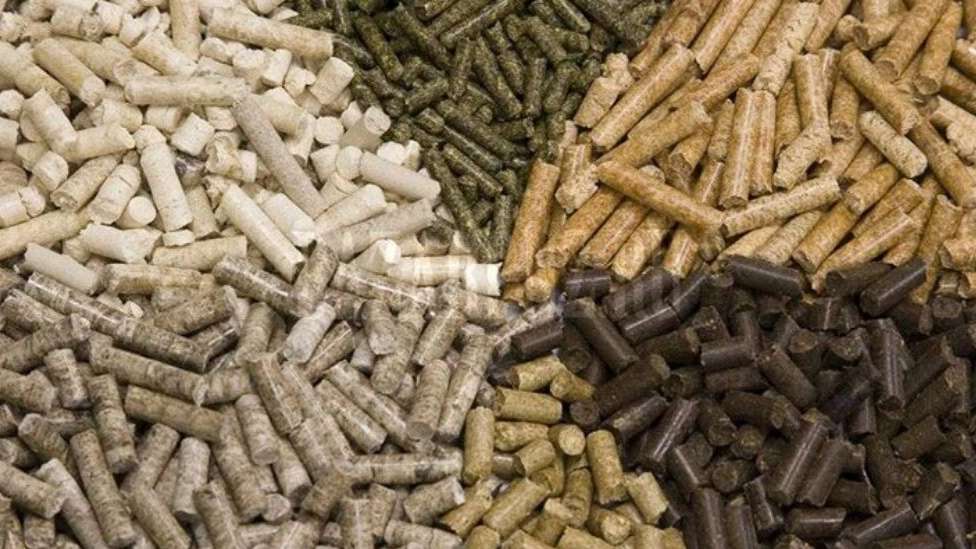Caspian grain livestock and poultry feed