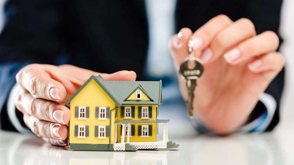 Mr. Real Estate Consultant