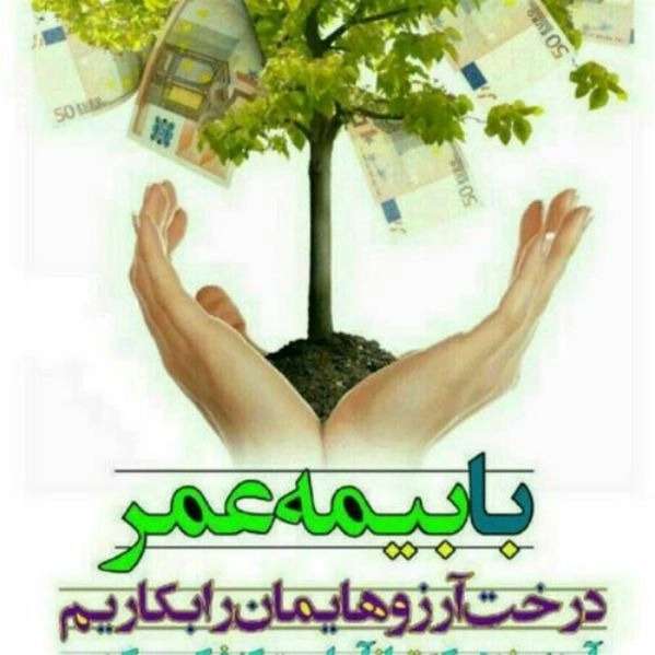 شرکت بیمه آسیا فرهاد احمدی