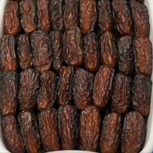 نخلستان خرمای پیارم آروین