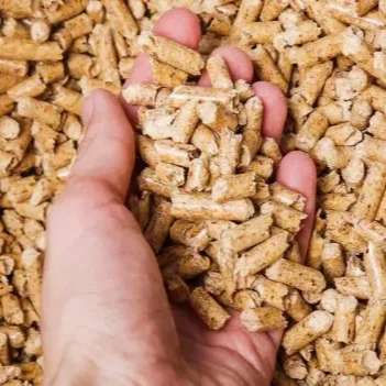 فروش عمده خوراک دام و طیور