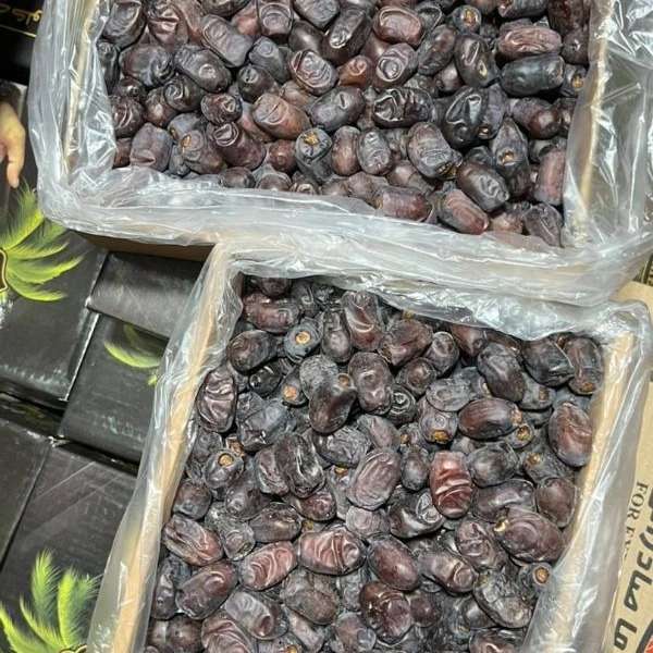صادرات خرمای درجه یک مضافتی برادران امجزی نژاد در کرمان