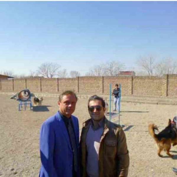 مرکز آموزشی سگ های کار هیرو k9 در کرج