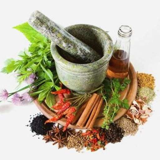 طب سنتی پرانا طب