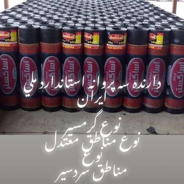 مدیر عامل آسابام دلیجان