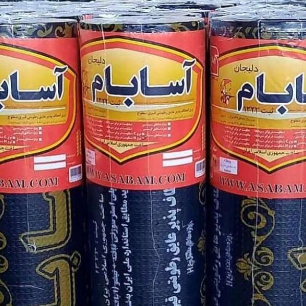 مدیر عامل آسابام دلیجان