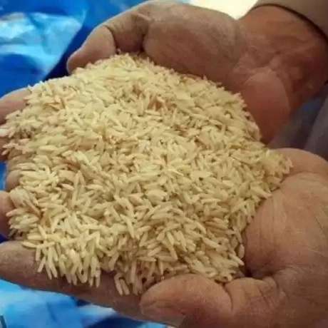 کارخانه برنجکوبی و بسته بندی رفیعی