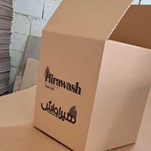 کارتن سازی ایرانیان