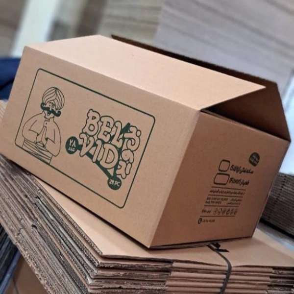 کارتن سازی ایرانیان