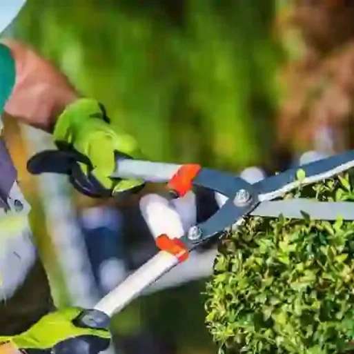 خدمات باغبانی وزراعی خدابخش ،اجرای خدمات شخم زنی سمپاشی آبیاری در قزوین