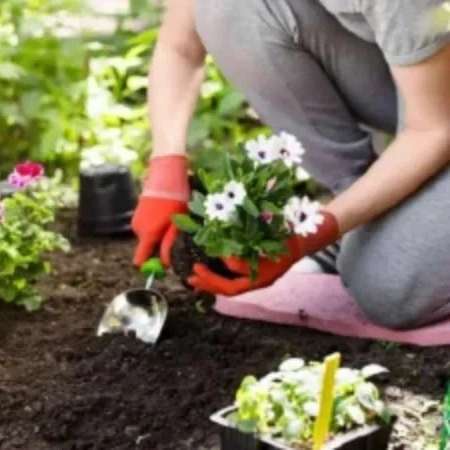 خدمات باغبانی وزراعی خدابخش ،اجرای خدمات شخم زنی سمپاشی آبیاری در قزوین