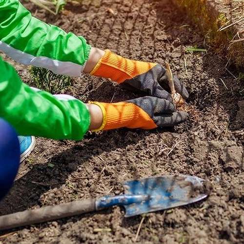 خدمات باغبانی وزراعی خدابخش ،اجرای خدمات شخم زنی سمپاشی آبیاری در قزوین