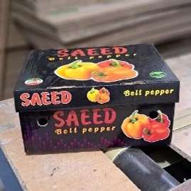 کارتن سازی بهروز
