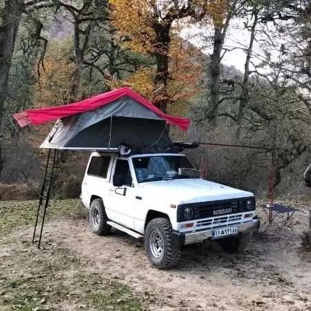 سیمرغ آفرد