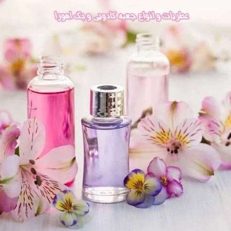 عطریات،جعبه کادویی و بگ اهورا