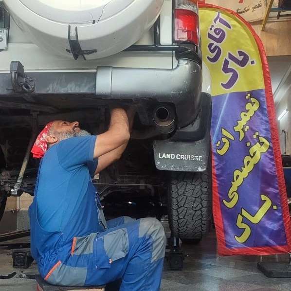 نمونه کارها