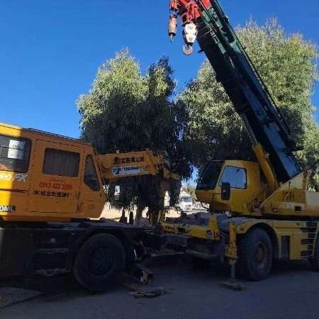 تعمیرات برق و الکترونیک جرثقیل توسن