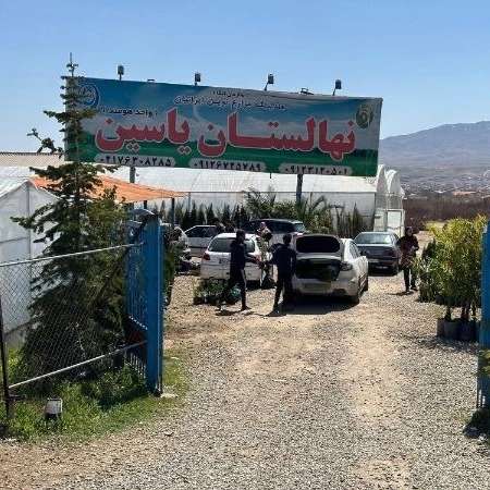 نهالستان یاسین در دماوند