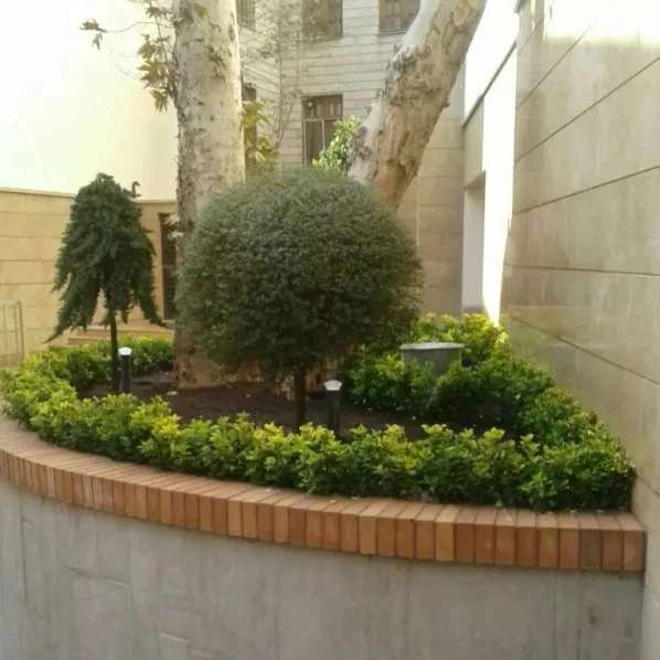 باغ شهر ایرانیان