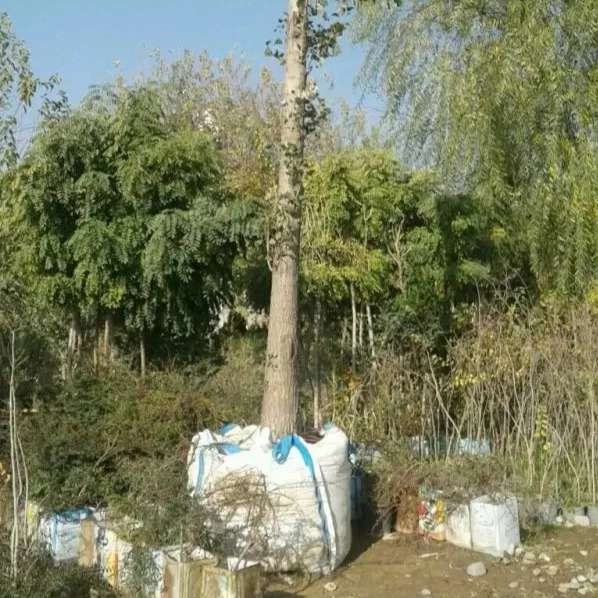 باغ شهر ایرانیان