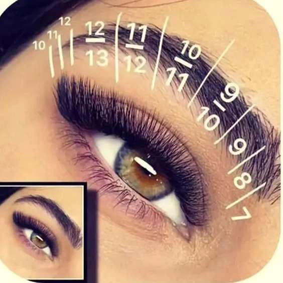 زیبایی لیلی